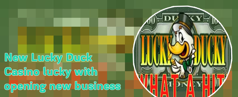 Lucky duck casino
