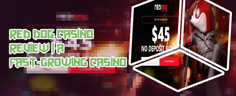 Red dog casino bonus codes